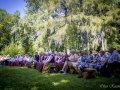 IMG_1451