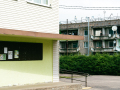 DubnysKN-Foto-Amanda-Anusane-10-6