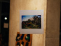 Breinumu-duorza-atsliegsona_foto-Arina-Belova-18