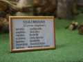 Vidis i kulturys centrs "Ķepa"