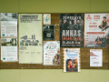 Dagdys-festivals-Foto-Amanda-Anusane-10