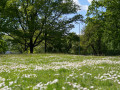 13-Latgolys-parks-diskuseja-Reiga