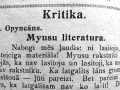 Ari-literaturys-kritikis