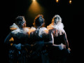 DSC07531.jpg
