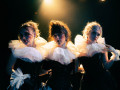 DSC07545.jpg