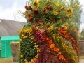 IMG_0356
