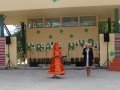 IMG_0662
