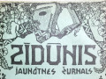 02-Zurnala-Zidunis-vuoka-fragments