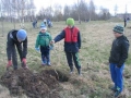 ozolu_stadisana (9).JPG