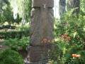 Naaizmerstules-kopa-pimineklis-Aglyunys-kopus-2010