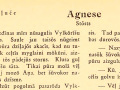 Fragments-nu-stuosta