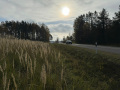 Raidejuma "Neatklātā Latgale" komandys gasteišona Latgolā. Foto nu Sandija Semjonova personeiguo arhiva