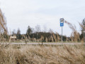 Pīrūbeža cīmu stuosti. Neikšāni