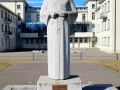 Pimineklis-pi-bejusuo-Skuluotuoju-instituta