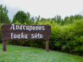 Ondrupinis lauku sāta.  Foto: Amanda Anusāne/portals lakuga.lv