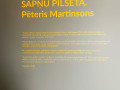 05-Petera-Martinsona-sata-Marka-Rotko-centrs-Daugovpils