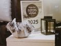 Rogovkys-dzejis-voga-2025_foto-Dagnija-Bernane-02