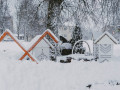 Siline, foto Amanda Anusāne, portals lakuga.lv