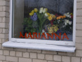 Siline, foto Amanda Anusāne, portals lakuga.lv