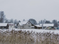 Siline, foto Amanda Anusāne, portals lakuga.lv