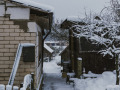 Siline, foto Amanda Anusāne, portals lakuga.lv
