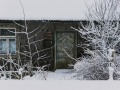 Siline, foto Amanda Anusāne, portals lakuga.lv