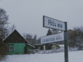Siline, foto Amanda Anusāne, portals lakuga.lv
