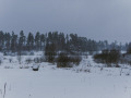 Siline, foto Amanda Anusāne, portals lakuga.lv