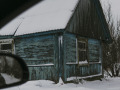 Siline, foto Amanda Anusāne, portals lakuga.lv