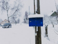 Siline, foto Amanda Anusāne, portals lakuga.lv