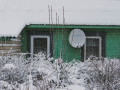 Siline, foto Amanda Anusāne, portals lakuga.lv