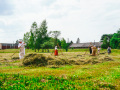 Sīna tolka Turkūs. Foto Amanda Anusāne, portals lakuga.lv