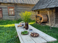 Zelcusola_foto-Edeite-Laime_01