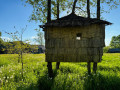 Zelcusola_foto-Edeite-Laime_13