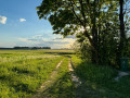 Zelcusola_foto-Edeite-Laime_19