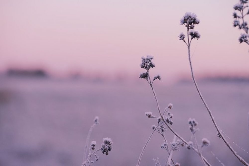 Literari muzykaluo Andrejdīna itūgod byus Lūznovā