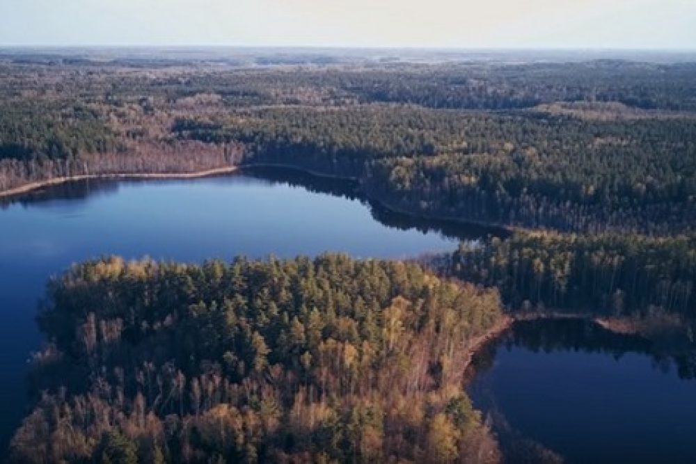 Radeits video “Latvian Voices” dzīsmei “Zynu, zynu tāva sātu”