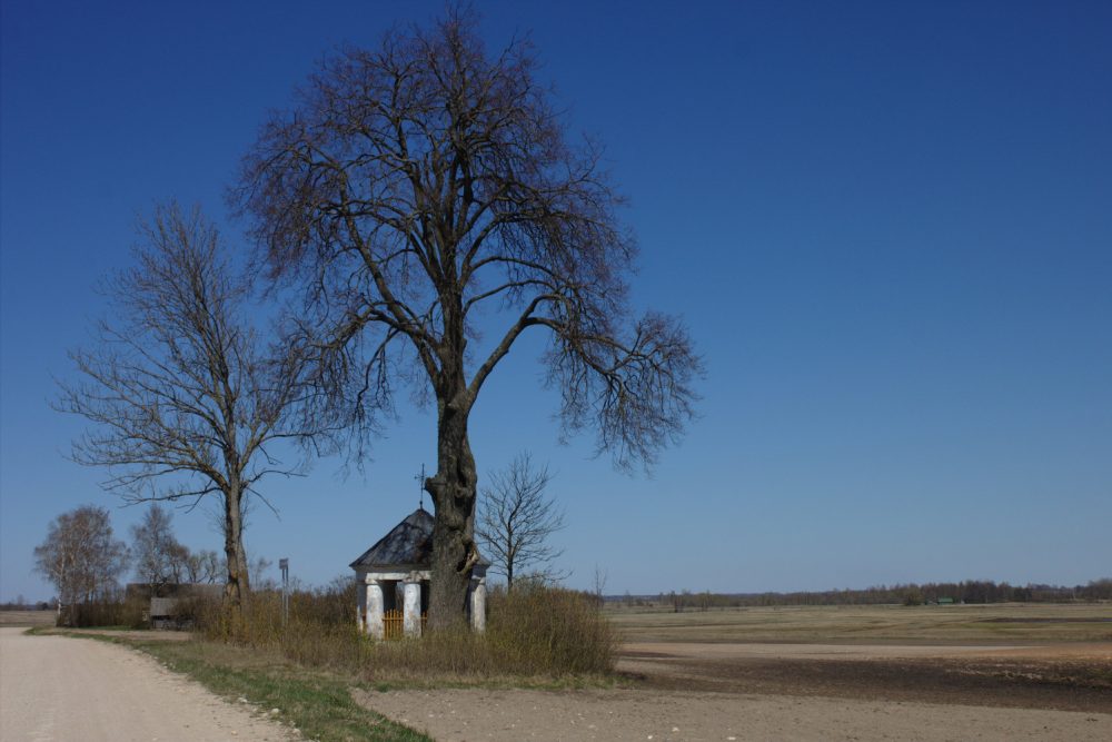 Ceļmolu krysti Latgolā – daļa nu Latvejis kulturys montuojuma