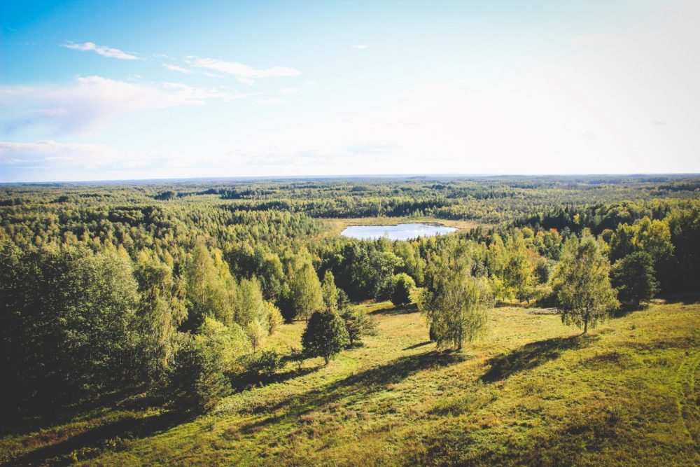 Gostūs dobys parkā “Nūmiernis vaļņs”