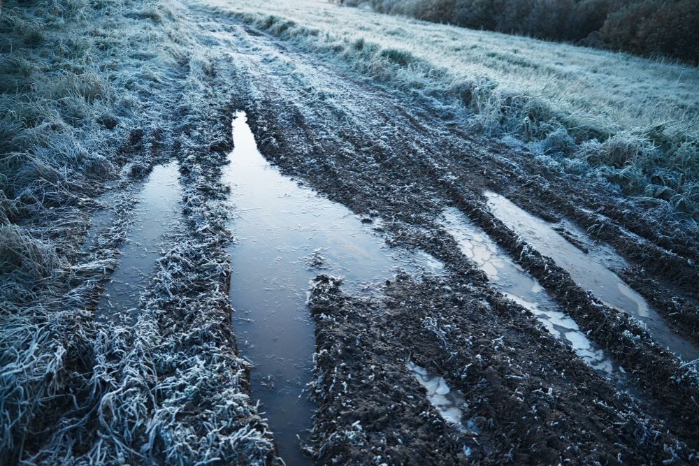 “Katre pīmeiza, Andryvs aizsaļdeja” – 25. novembris Katris dīna