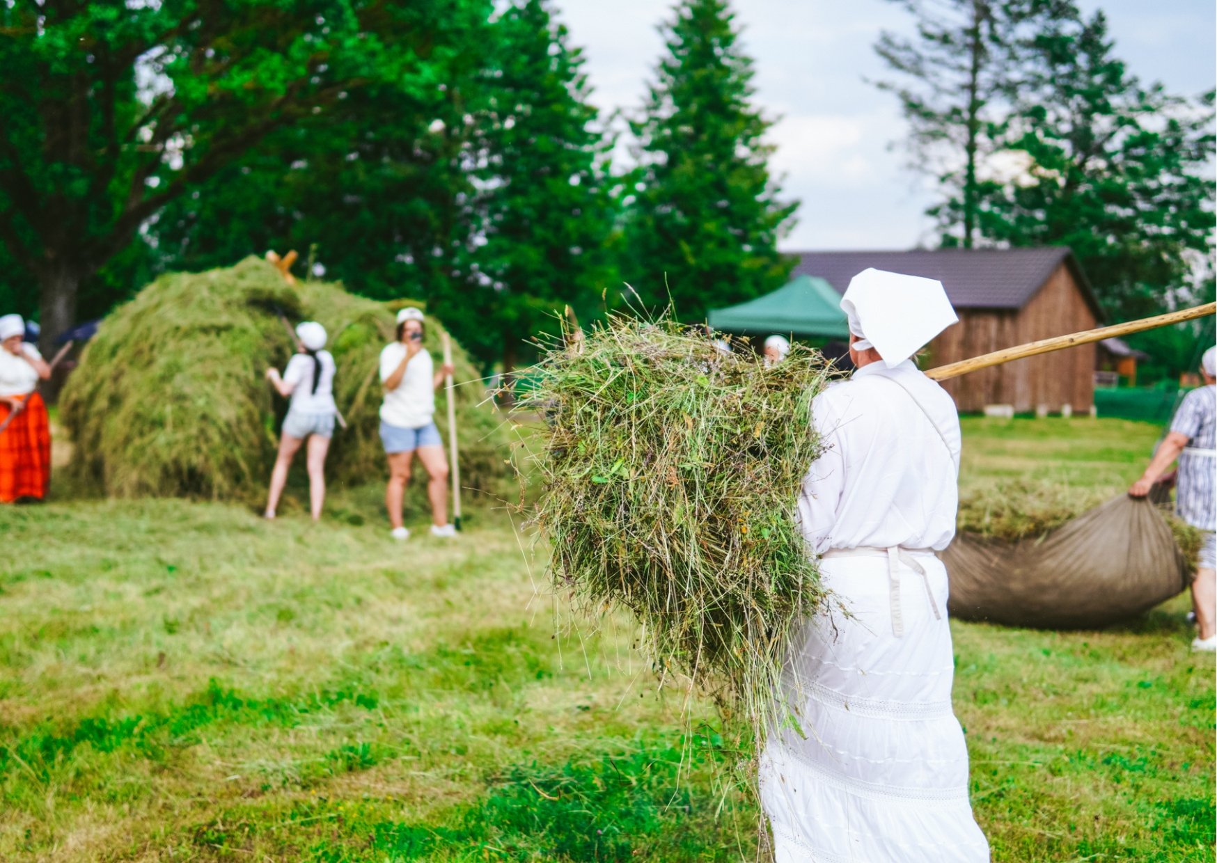 Dorbi, dzīsmis i sīna smuords. Turkūs aizvadeita tradicionaluo sīna ...