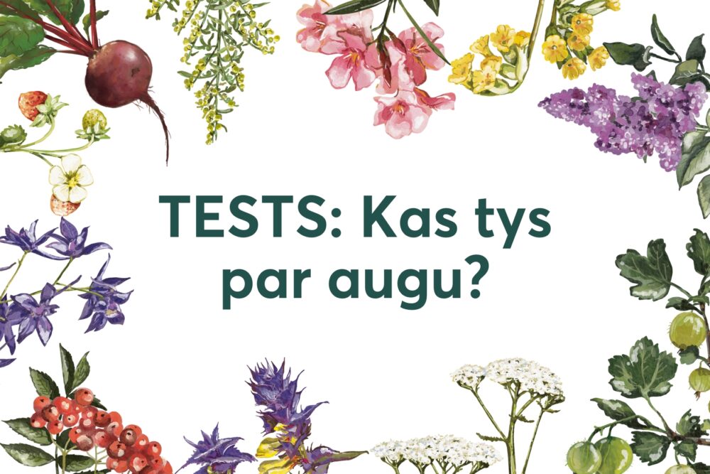 Tests: Kas tys par augu?