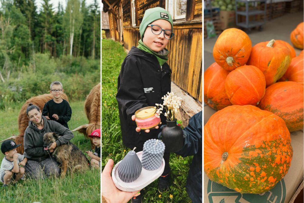 Kulturys īsacejumi nedeļai: atbaļsteit jaunūs talantus, nūbraukt iz “Leiceišu” sātu i tiergu