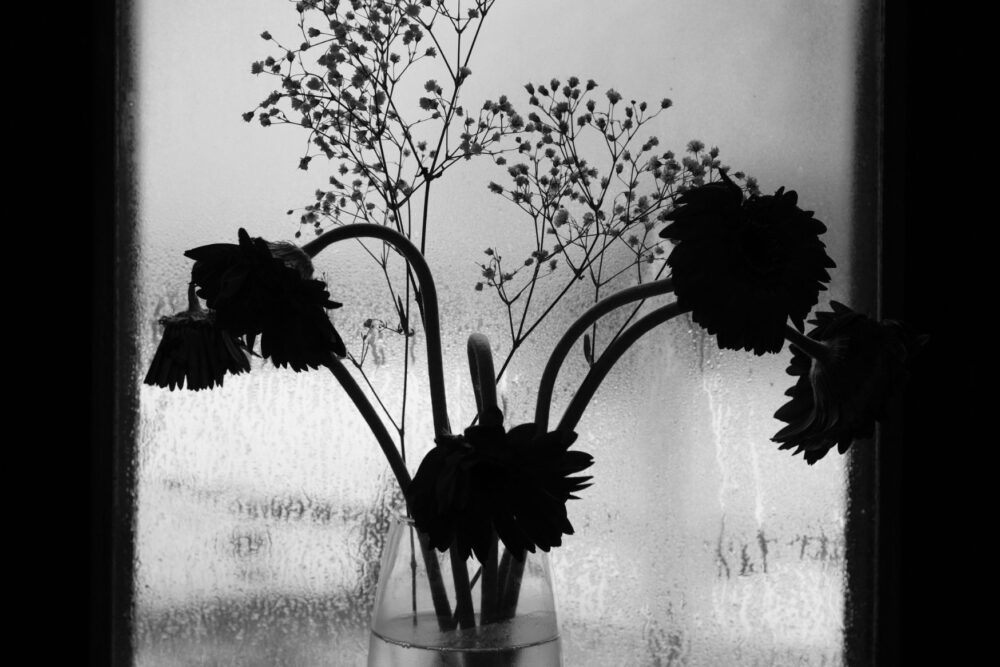 Kam eisti jī kolpoj? Vardarbeibys dimensejis