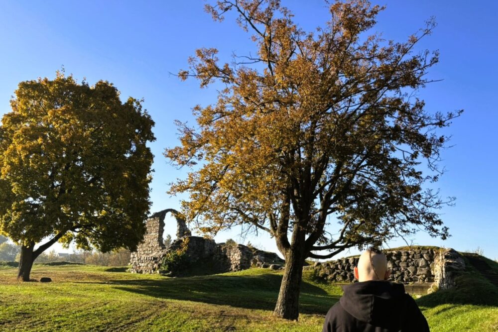 Silvestrs. Nūcejā kaidu pavedīni vystik satausteit