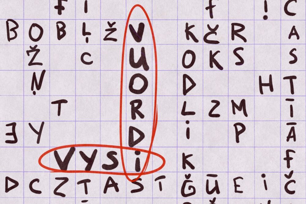 Raibīs. Vysi vuordi