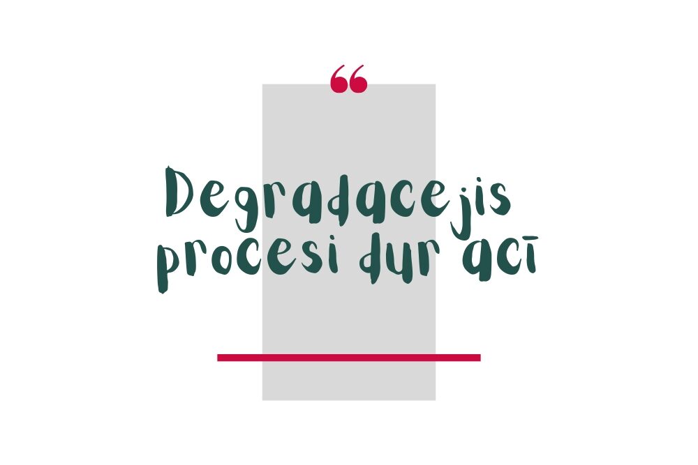 Muizinīku Evika. Degradacejis procesi dur acī