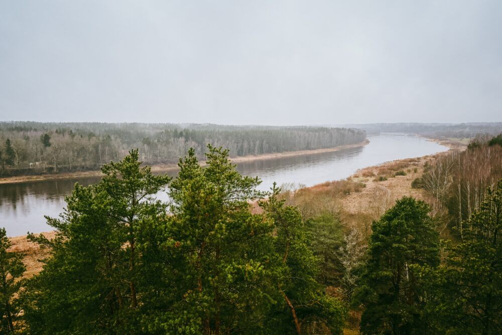 Ideja breivdīnu puorguojīņam pa Daugovys lūkim