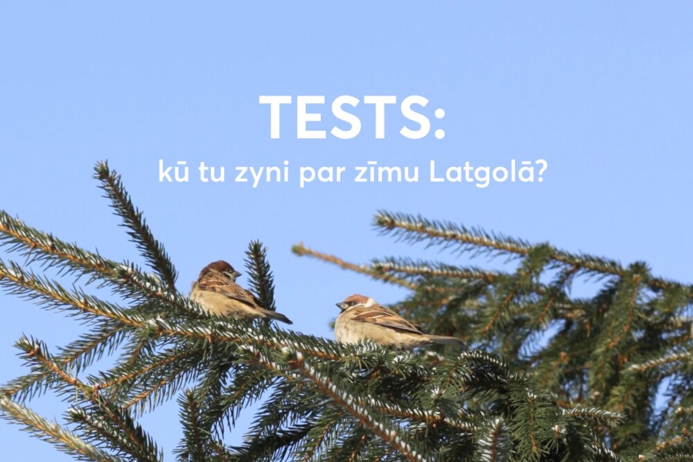 TESTS: kū tu zyni par zīmu Latgolā?