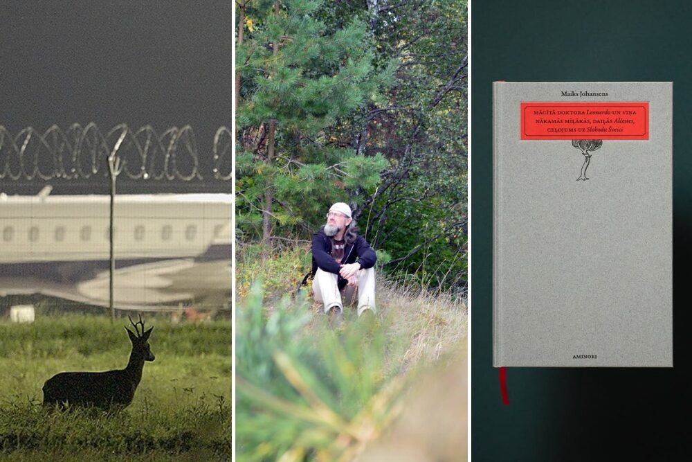 Kulturys īsacejumi nedeļai: spūdrys tulkuojums, lidūstys biotops i senejuos vītys apleicīnē